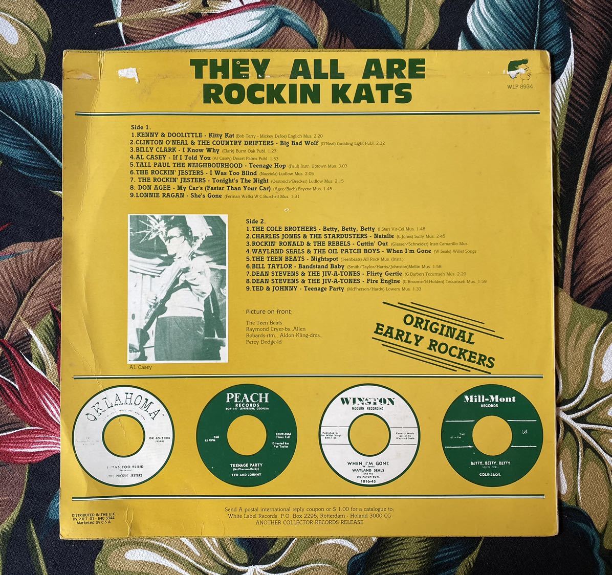 Various They All Are Rockin Kats LP White-8934 ロカビリー_画像2