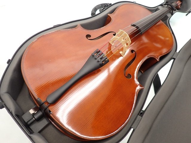 Roderich Paesold ローデリヒ ペゾルト チェロ 601J 4/4 弓/ハード