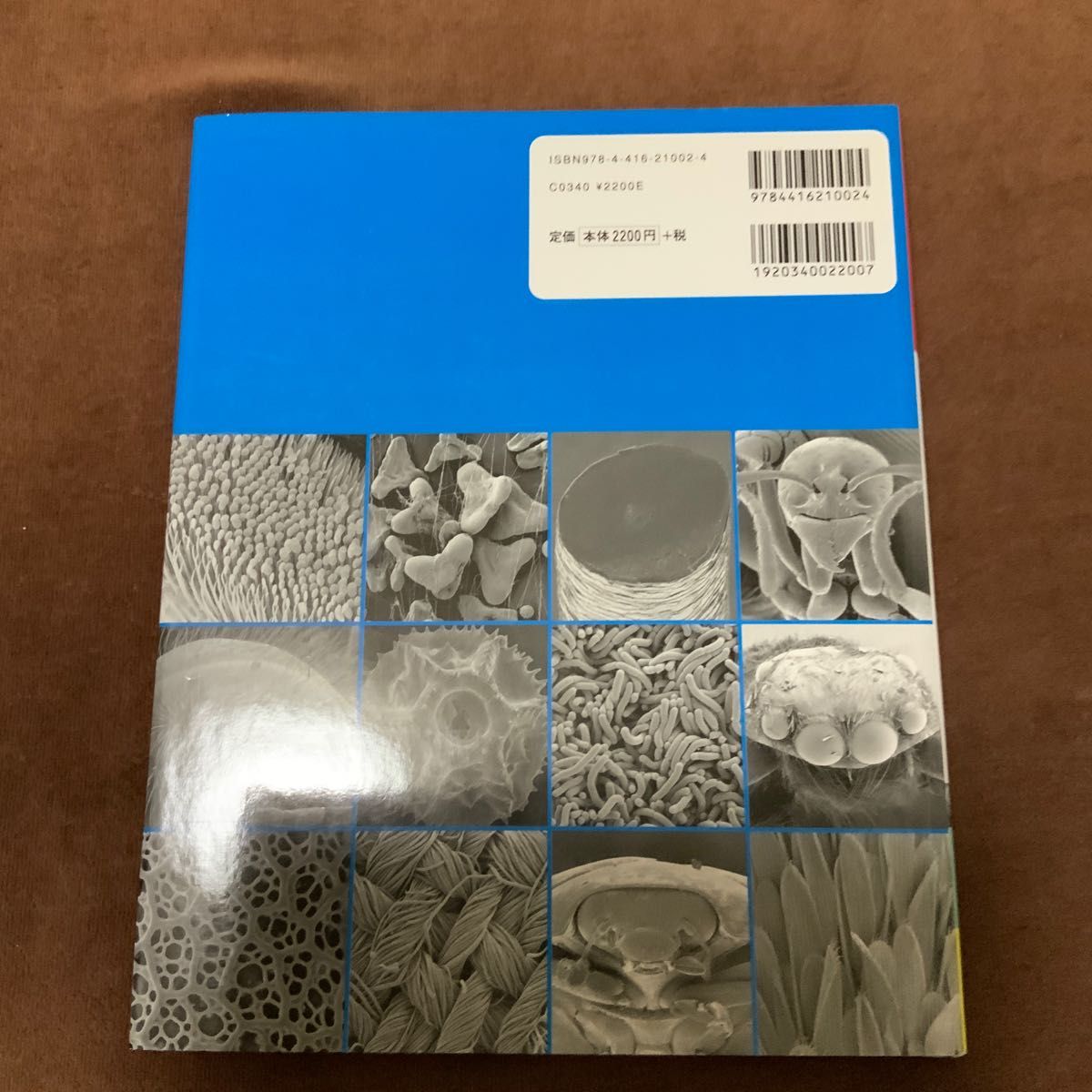 電子顕微鏡でみる超ミクロの世界 子供の科学サイエンスブックス