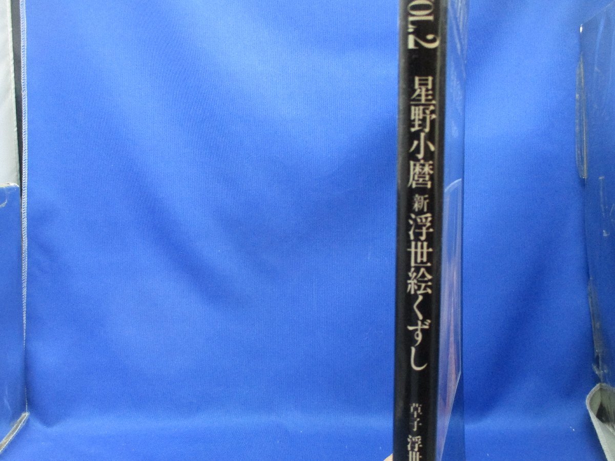 写真集 新浮世絵くずし/星野小麿(著者) エロ/ヌード/裸 /藤本義一