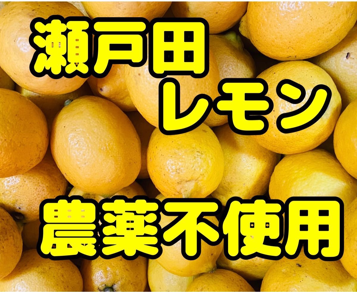 最も最も国産瀬戸田レモン農薬不使用 果物
