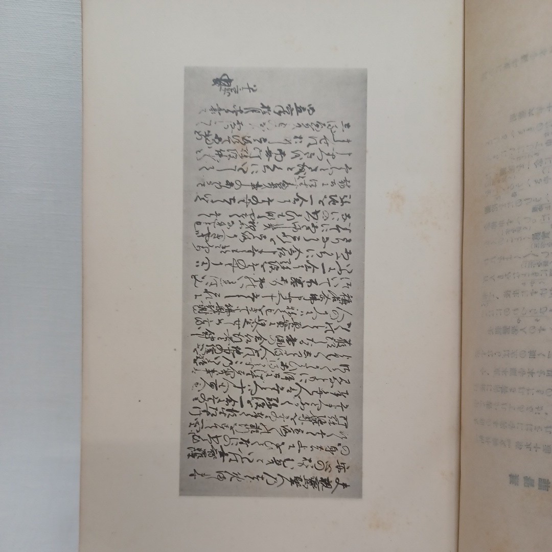 ☆彡「 蓮如上人研究　宗学研究特集号」浄土真宗　大谷派本願寺　親鸞聖人　蓮如　大乗佛教_画像7