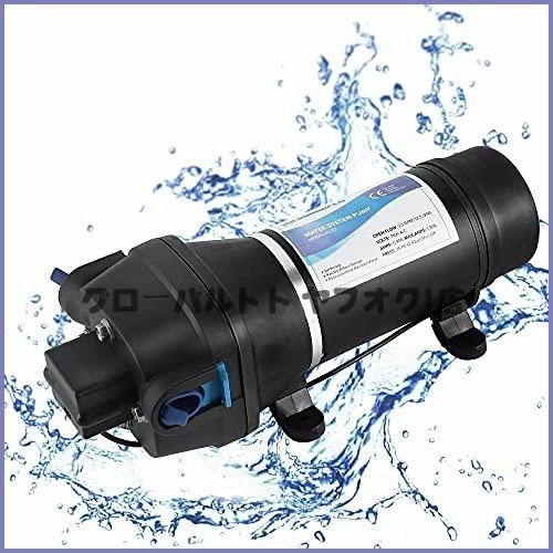独特 ダイヤフラム水ポンプ 給水 排水ポンプ 水ポンプ 圧力スイッチ 12.5L/min (110V) 自吸式ポンプ ミニチュア S430_画像1