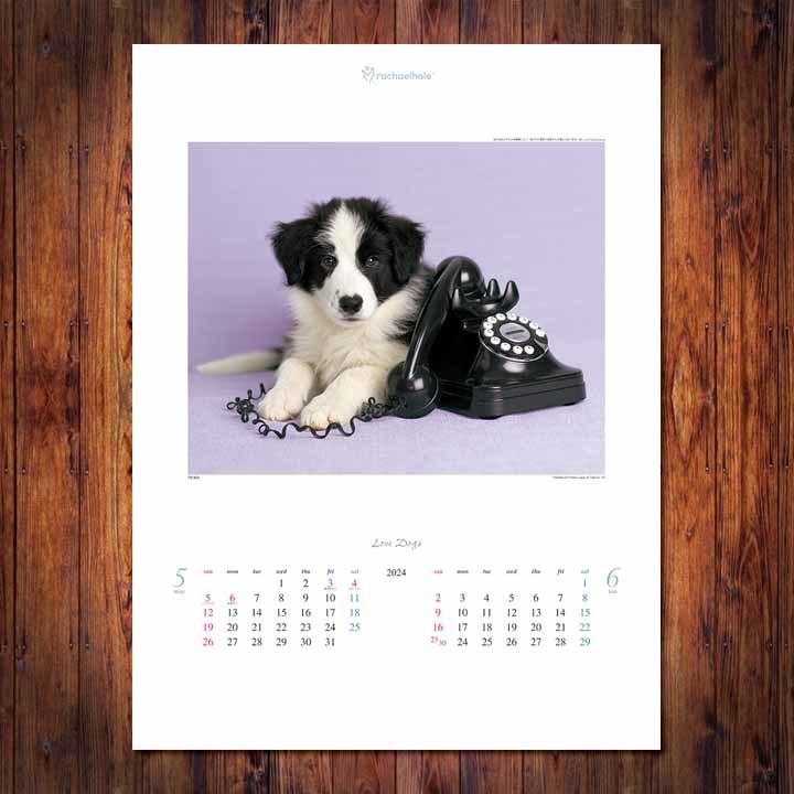 #2024 calendar #lavu* dog ~ Ray che ru*he il work compilation ~#TD-933#
