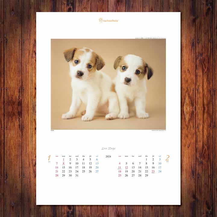 #2024 calendar #lavu* dog ~ Ray che ru*he il work compilation ~#TD-933#