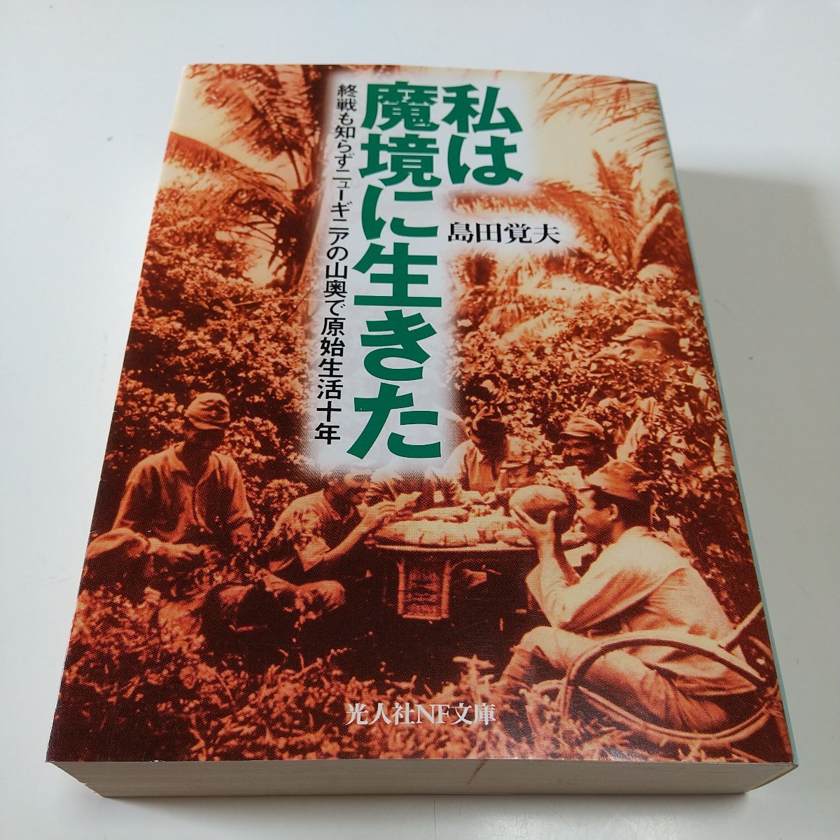 私は魔境に生きた 終戦も知らずニューギニアの山奥で原始生活十 私は魔境に生きた 終戦も知らずニューギニアの山奥で原始生活十