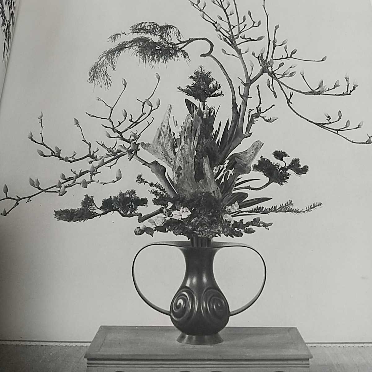 立華常道集 池坊 亀澤香雨作品集 日本華道社 外箱有り 中古 古書 立華常道集 池坊 亀澤香雨作品集 日本華道社 外箱有り 中古 古書