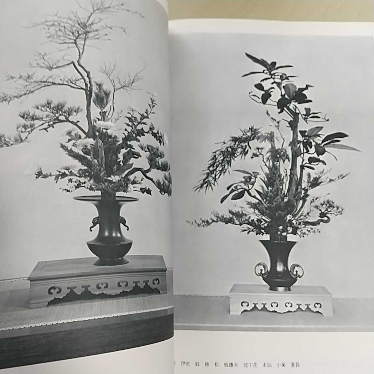 立華常道集 池坊 亀澤香雨作品集 日本華道社 外箱有り 中古 古書 立華常道集 池坊 亀澤香雨作品集 日本華道社 外箱有り 中古 古書