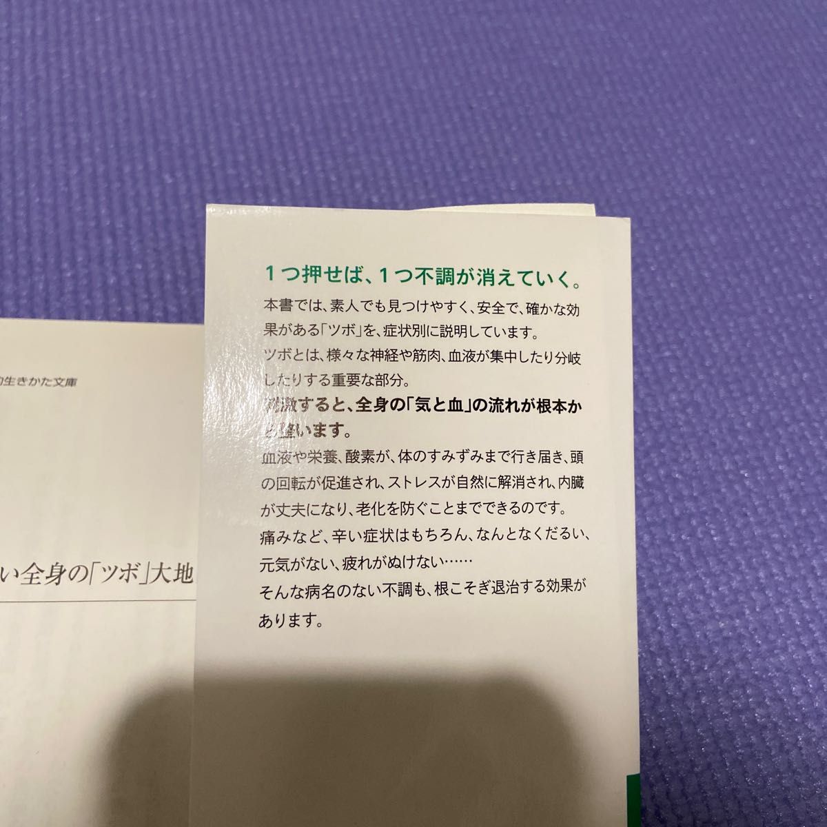 病気にならない全身の「ツボ」大地図帖　１回３０秒で体が整い、気力充実 （知的生きかた文庫　 帯津良一／著　藤井直樹／著