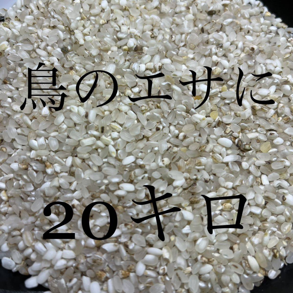 完売】 くず米 1.5kg