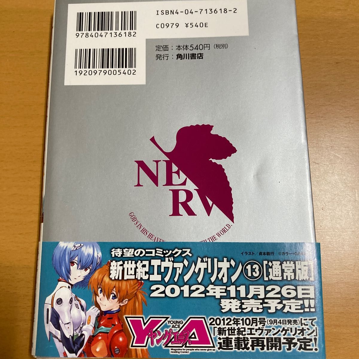 新世紀エヴァンゲリオン　９ （角川コミックス・エース　ＫＣＡ１２－９） 貞本義行／漫画　カラー／原作