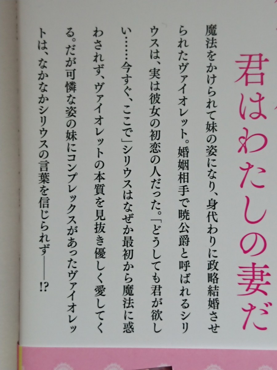 ガブリエラブックス『妹に騙され偽の花嫁になった公爵令嬢の溺愛トラブルだらけの24時間後』SS付 千石かのん/なおやみか_画像3