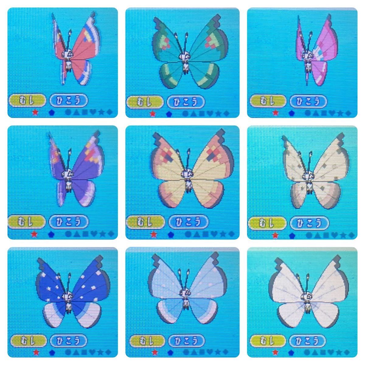 ニンテンドー3DS - ポケモン Y ビビヨン全模様コンプリート 配信