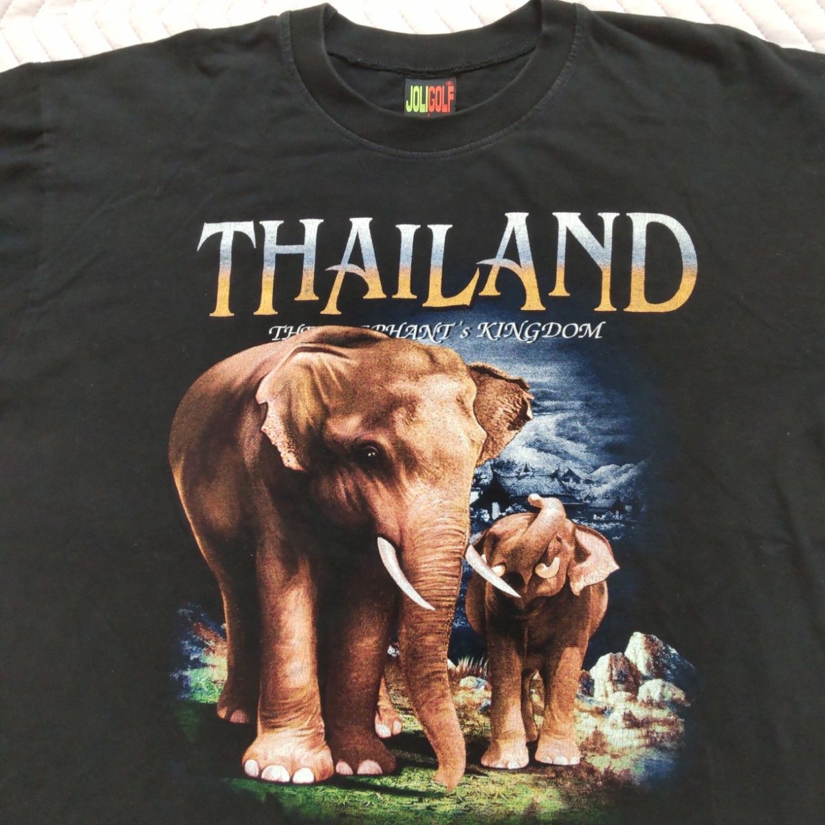 USA輸入 古着 タイ ゾウ アニマル プリント Tシャツ L - トップス