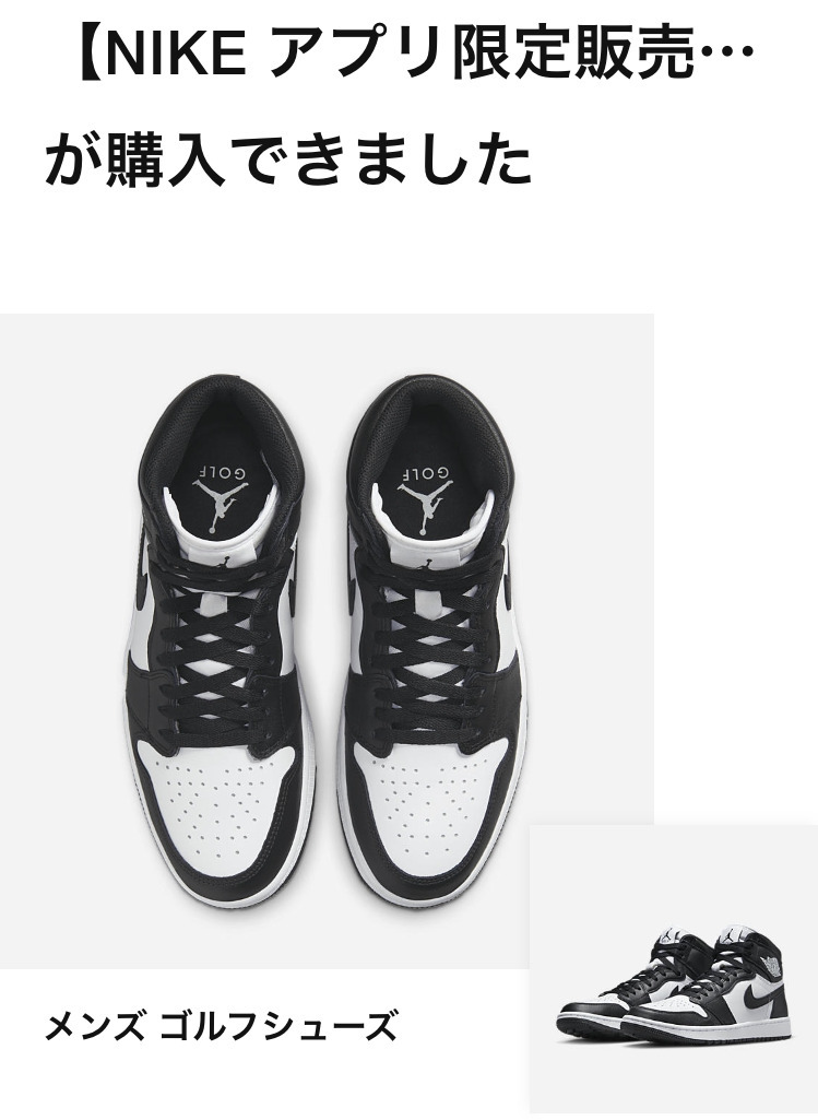 28.5cm US10.5 Nike Air Jordan 1 High Golf Pandaナイキ エア