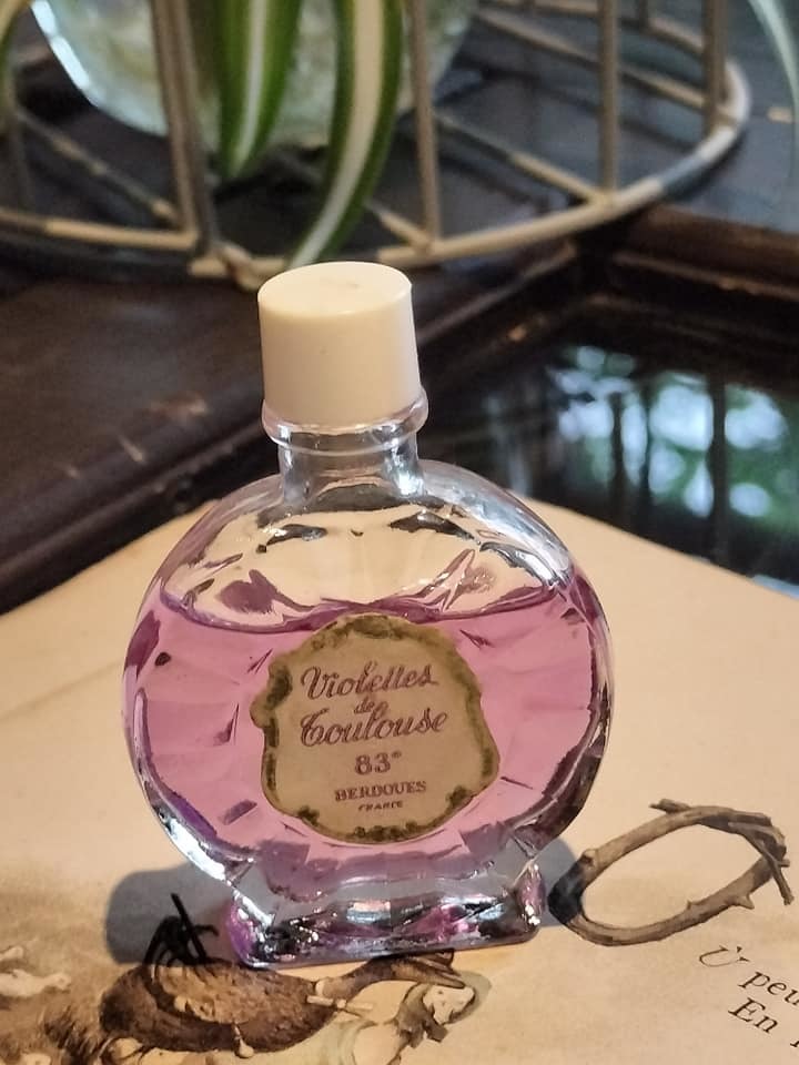 フランスアンティーク ビンテージ 可愛いViolettes de Toulouseスミレ