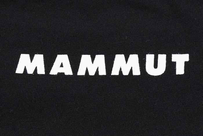 新品未使用！MAMMUT Nations S/S Tee マムート ネーションズ Tシャツ L_画像3