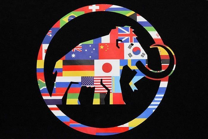 値下げ】 Tee S/S Nations 新品未使用!MAMMUT マムート L Tシャツ