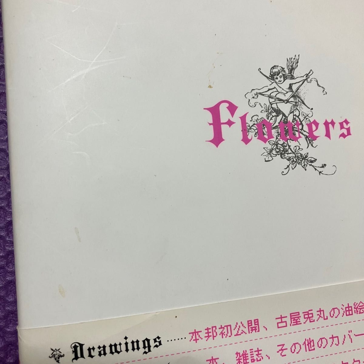 Flowers 古屋兎丸画集