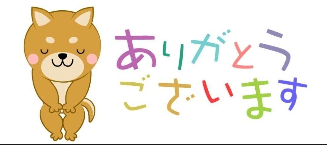 mmrさま専用ページでございますm(_ _)m|PayPayフリマ