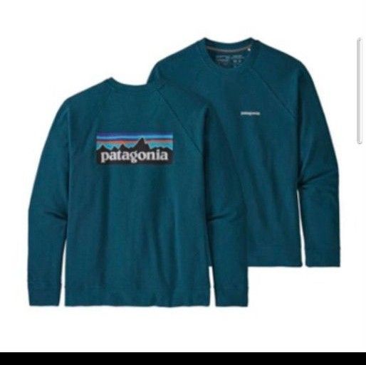 P-6ロゴオーガニックコットンスウェット グリーン S patagonia パタゴニア スウェットトレーナー FA20