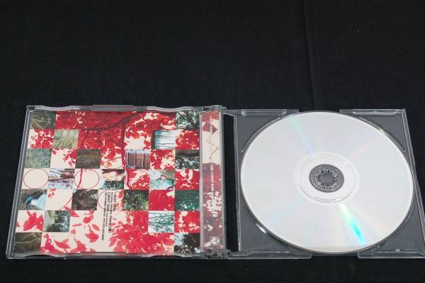 ヤフオク Cd 名曲集 ドラマcdシリーズ 僕のショパン2 リス