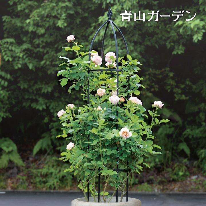 タカショー (Takasho) オベリスク バラ用 φ23 23x23x163cm NPM-J07 薔薇 