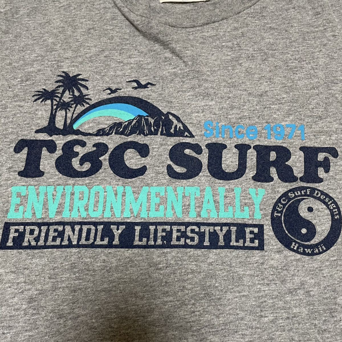 タウン&カントリー【T＆C】surf 半袖Tシャツ バックビックロゴ Mサイズ タウカン ティーアンドシー グレー×グリーン/緑青 レディース？