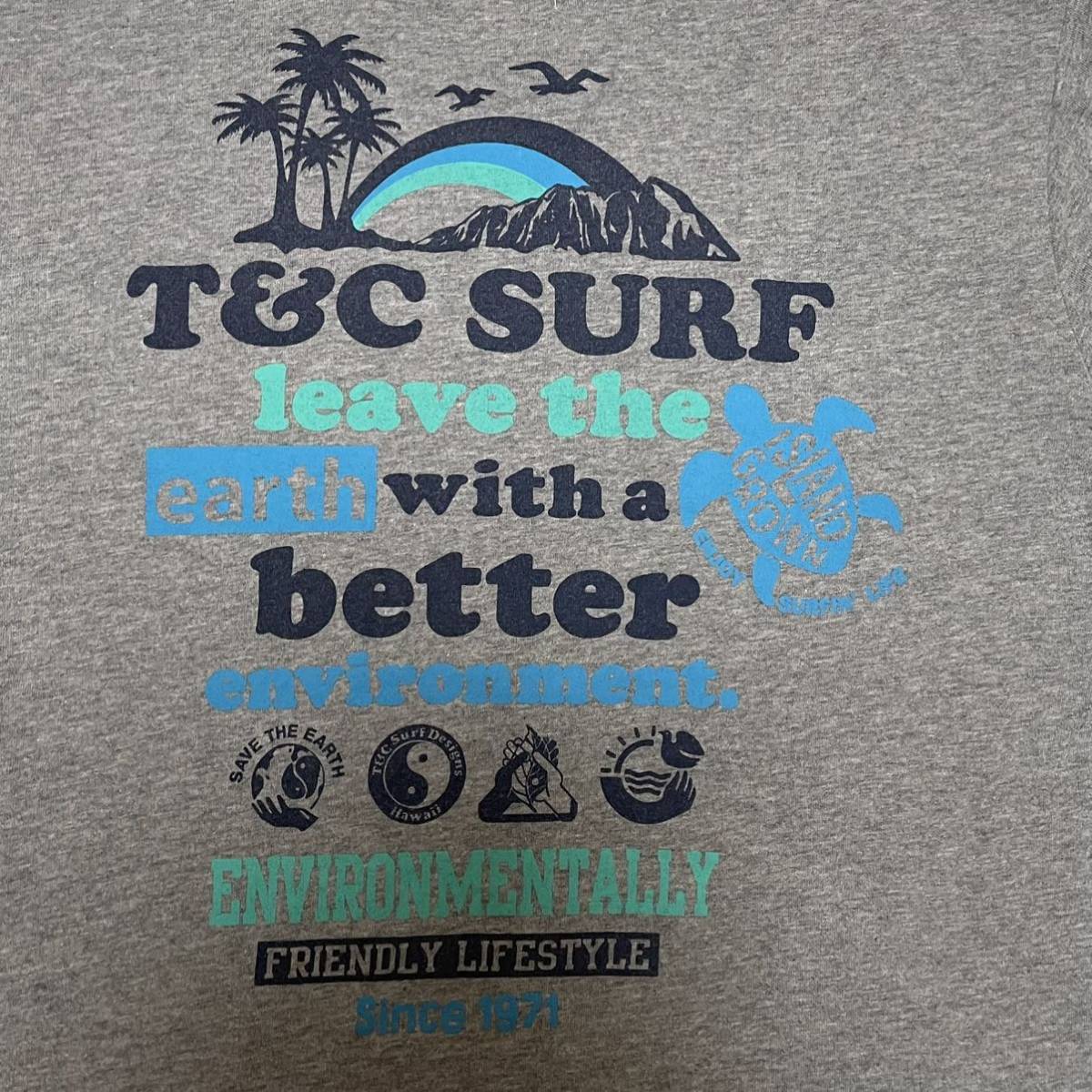 タウン&カントリー【T＆C】surf 半袖Tシャツ バックビックロゴ Mサイズ タウカン ティーアンドシー グレー×グリーン/緑青 レディース？
