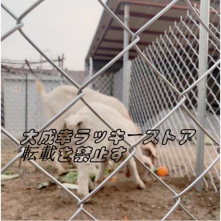 実用☆ 鉄線フェンス 養魚池 ガードレール 牛羊の繁殖ネット 犬 実用☆ 鉄線フェンス 養魚池 ガードレール 牛羊の繁殖ネット 犬