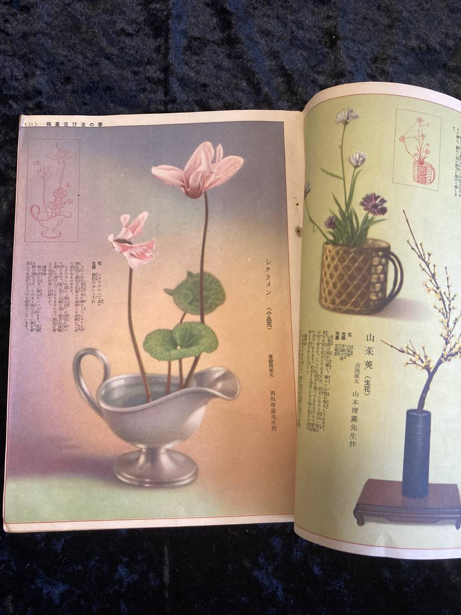  woman club Showa era 11 year 4 month number appendix various ... flower . tea. hot water 