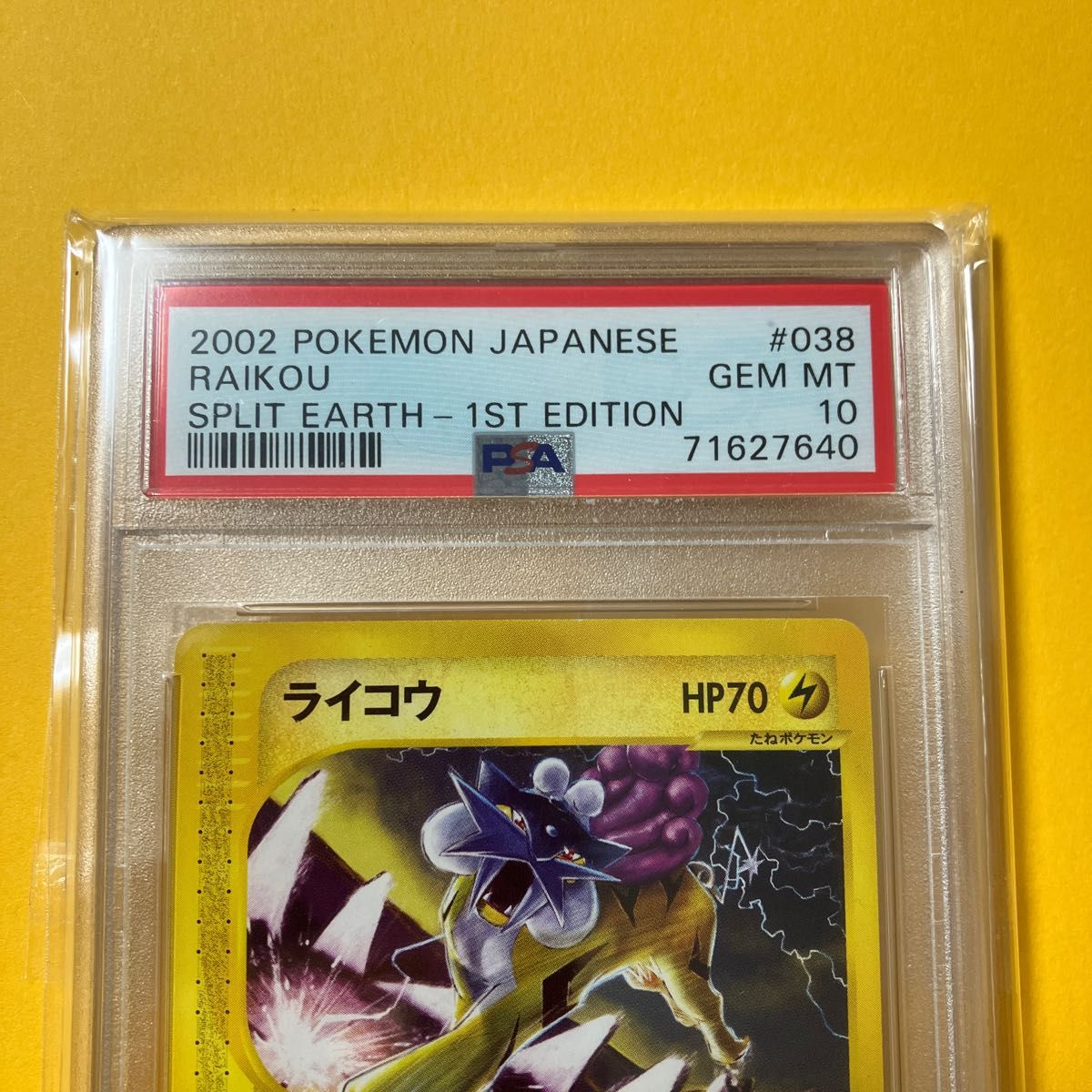 最新エルメス ポケモンカード ライコウ ポケモンカードゲーム