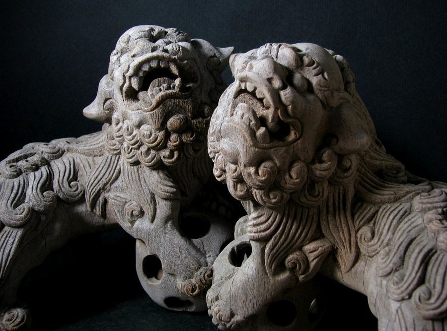 沸騰ブラドン 小振りな木彫狛犬一対　幅：15cm　仏教美術/23f032 その他