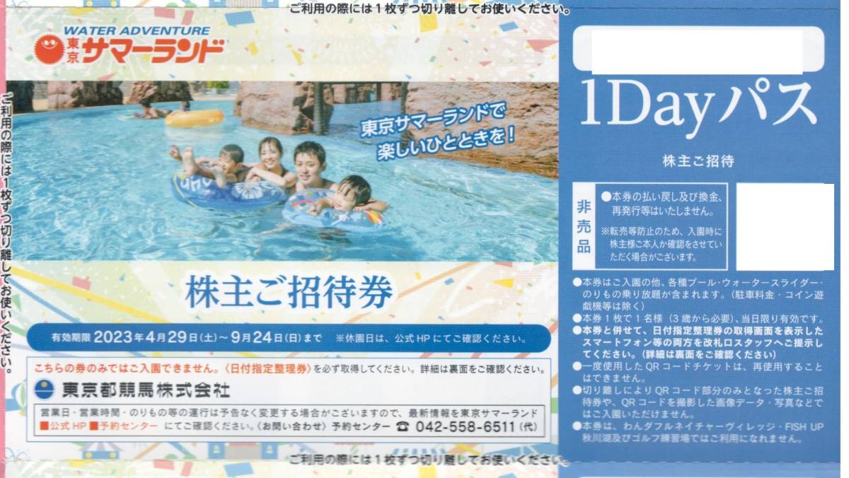 激安大特価！】 サマーランド1DAYパス 5枚/夏休み利用可/東京