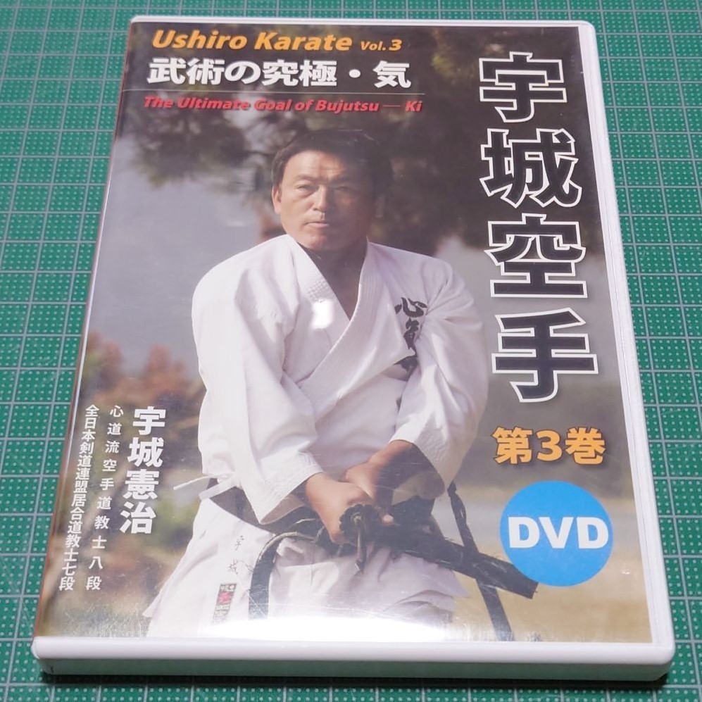 DVD 武術の究極・気