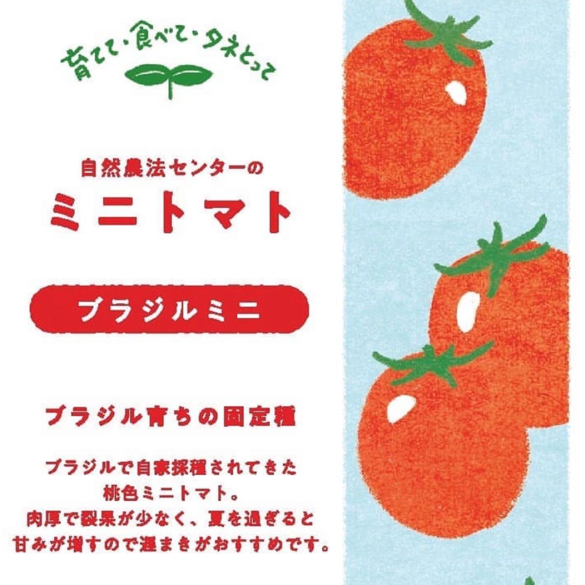 【国内育成・採取】 ブラジルミニ アブラナ科ミックス 家庭菜園 種 タネ トマト