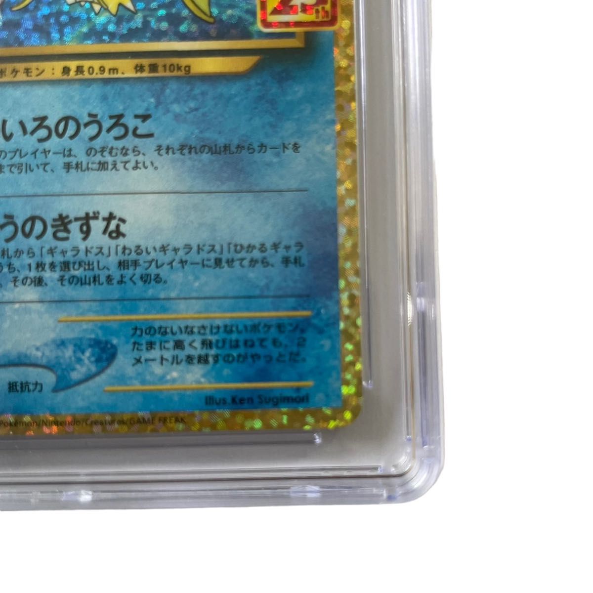 【PSA10 相当】極美品 ポケモン カード ひかるコイキング　25th CGC9.5