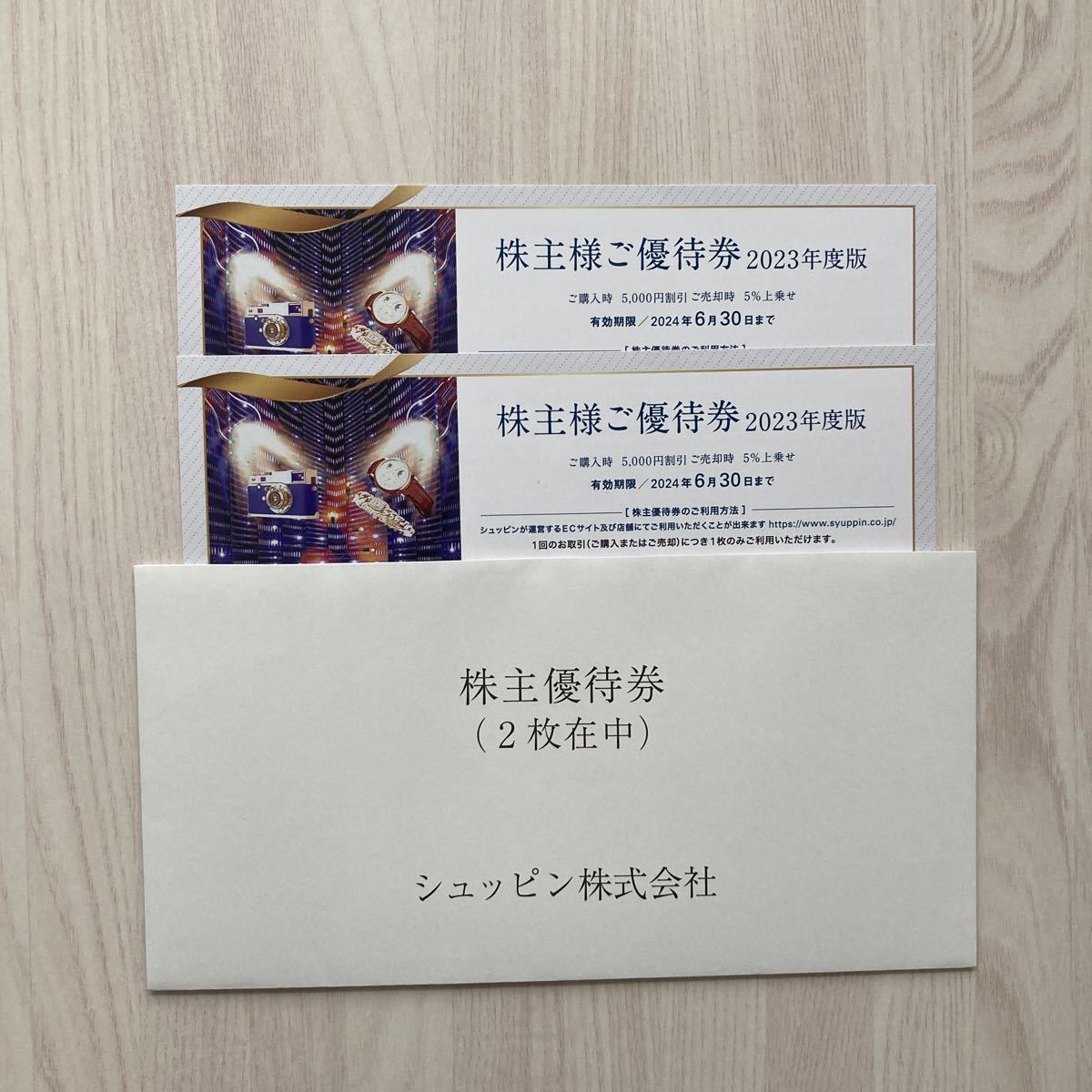 シュッピン「株主優待券」2枚 有効期限2024年6月30日まで SYUPPIN