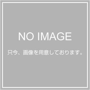 (中古品)リンナイ 卓上型ガスオーブン専用部品 オーブン皿 074-017-000_画像1