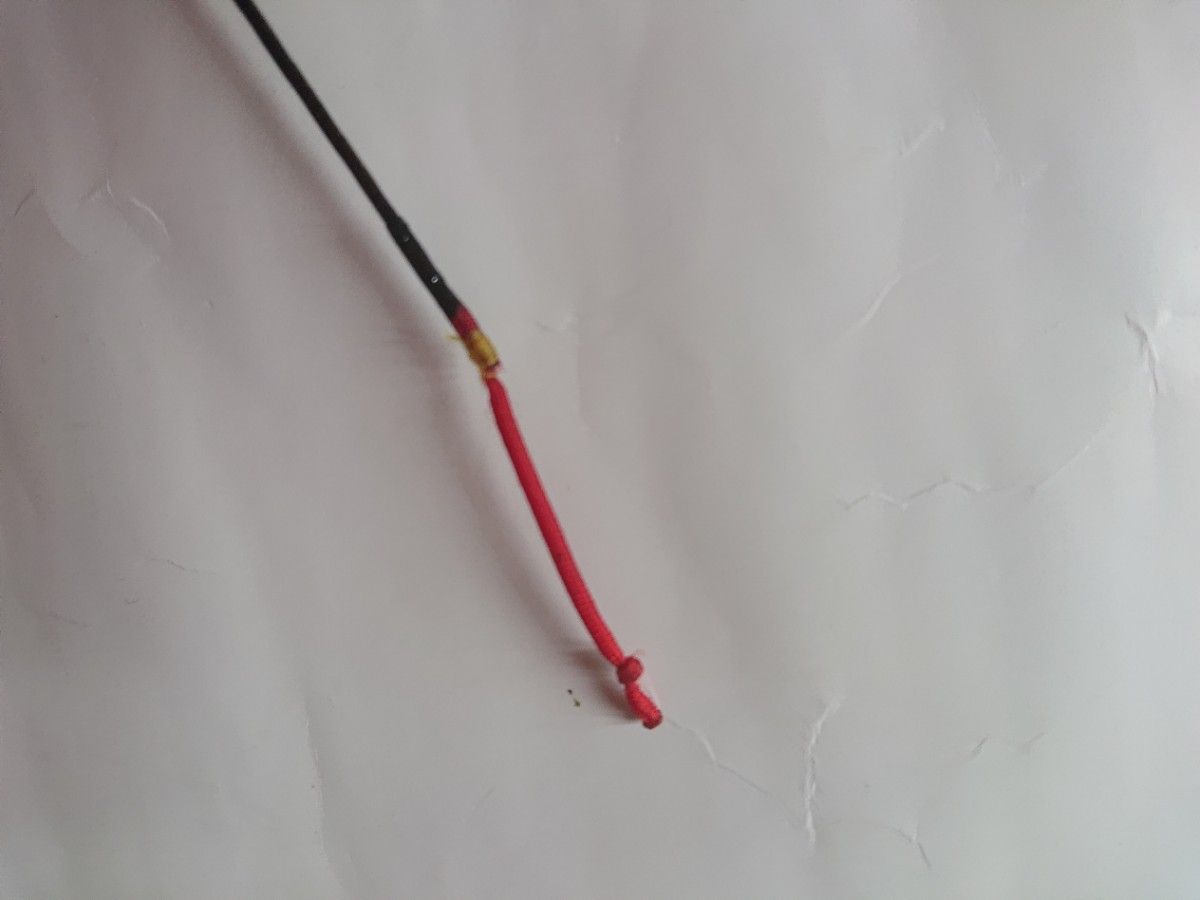 鮎竿 NFT POWER LOOP ADVANCE 硬中硬 81|Yahoo!フリマ(旧 鮎竿 NFT POWER LOOP ADVANCE 硬中硬 81|Yahoo!フリマ(旧