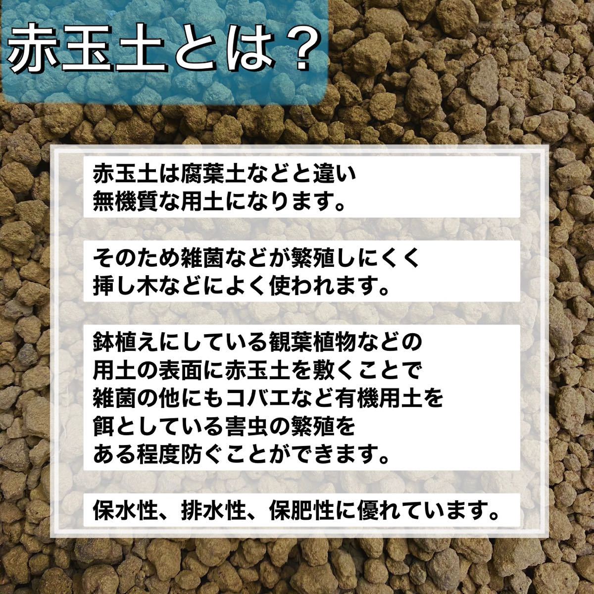 赤玉土 2L 小粒 多肉植物 サボテン 観葉植物 土 ガーデニング　エケベリア　玉扇　