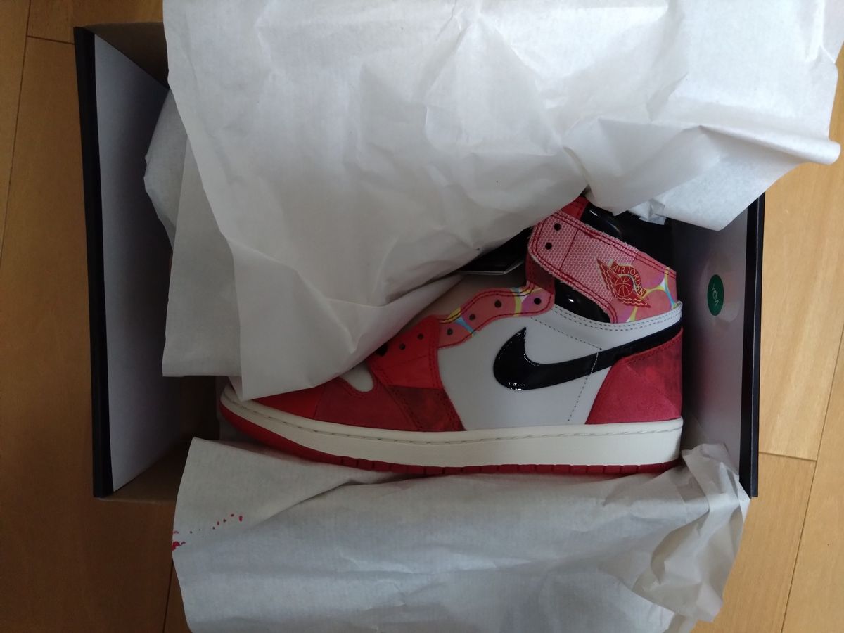 Nike Air Jordan 1 High OG SP Next Chapter 26.5cm | www.mclegal.info