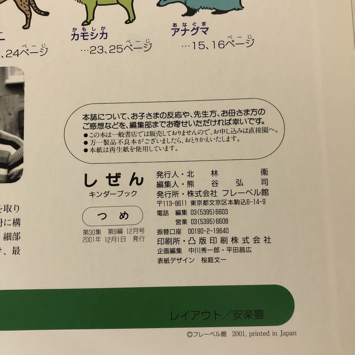 Y31-108 しぜん つめ 12 キンダーブック 第30集 第9集12月号 2001年発行 フレーベル館 増井光子 カナヨ・スギヤマ_画像3