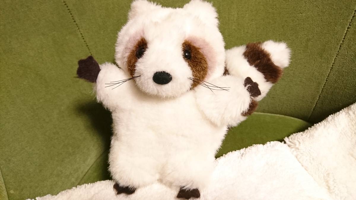 Yahoo!オークション - 白いレッサーパンダ レッサーパンダ 白 Yahoo!オークション - 白いレッサーパンダ レッサーパンダ 白