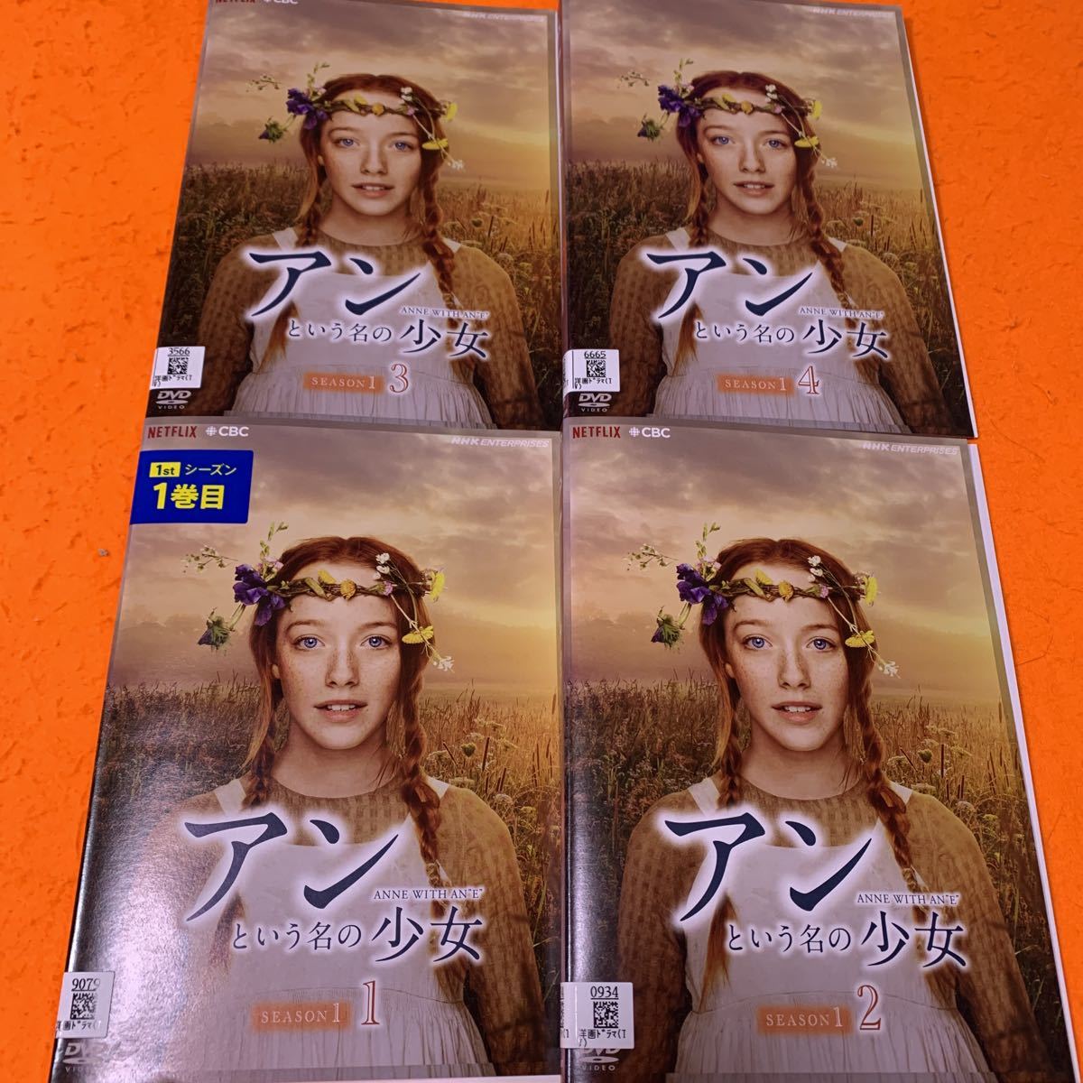 アンという名の少女　シーズン1 DVD 全巻セット　レンタル落ち　送料無料