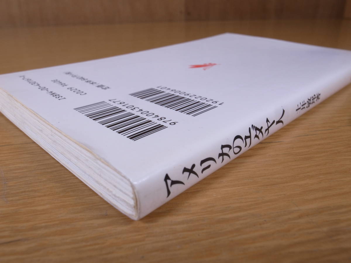 岩波新書 新赤版 167 アメリカのユダヤ人 岩波書店 1997年 第13刷_画像5