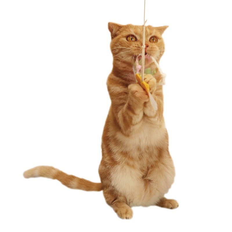 ka car ka car paper string ....chou tooth ... natural material cat ...... cat cat cat exclusive use cat for toy cat petsu route 