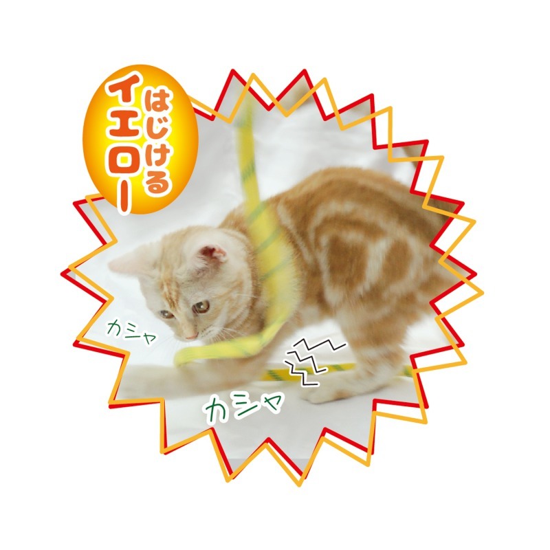 カシャカシャ ひもじゃらし 黄色 猫じゃらし ねこ 猫 ネコ 猫専用 猫用 おもちゃ キャット ペッツルート_画像3