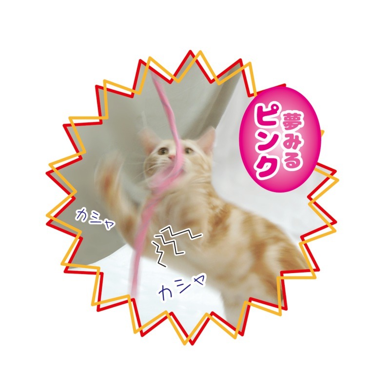 カシャカシャ ひもじゃらし ピンク 猫じゃらし ねこ 猫 ネコ 猫専用 猫用 おもちゃ キャット ペッツルート_画像5