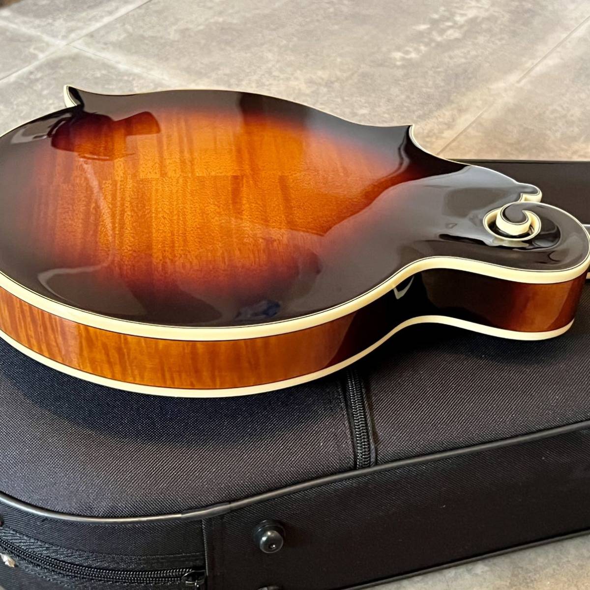 Loar LM-600VS 美品 | www.namakafloat.com